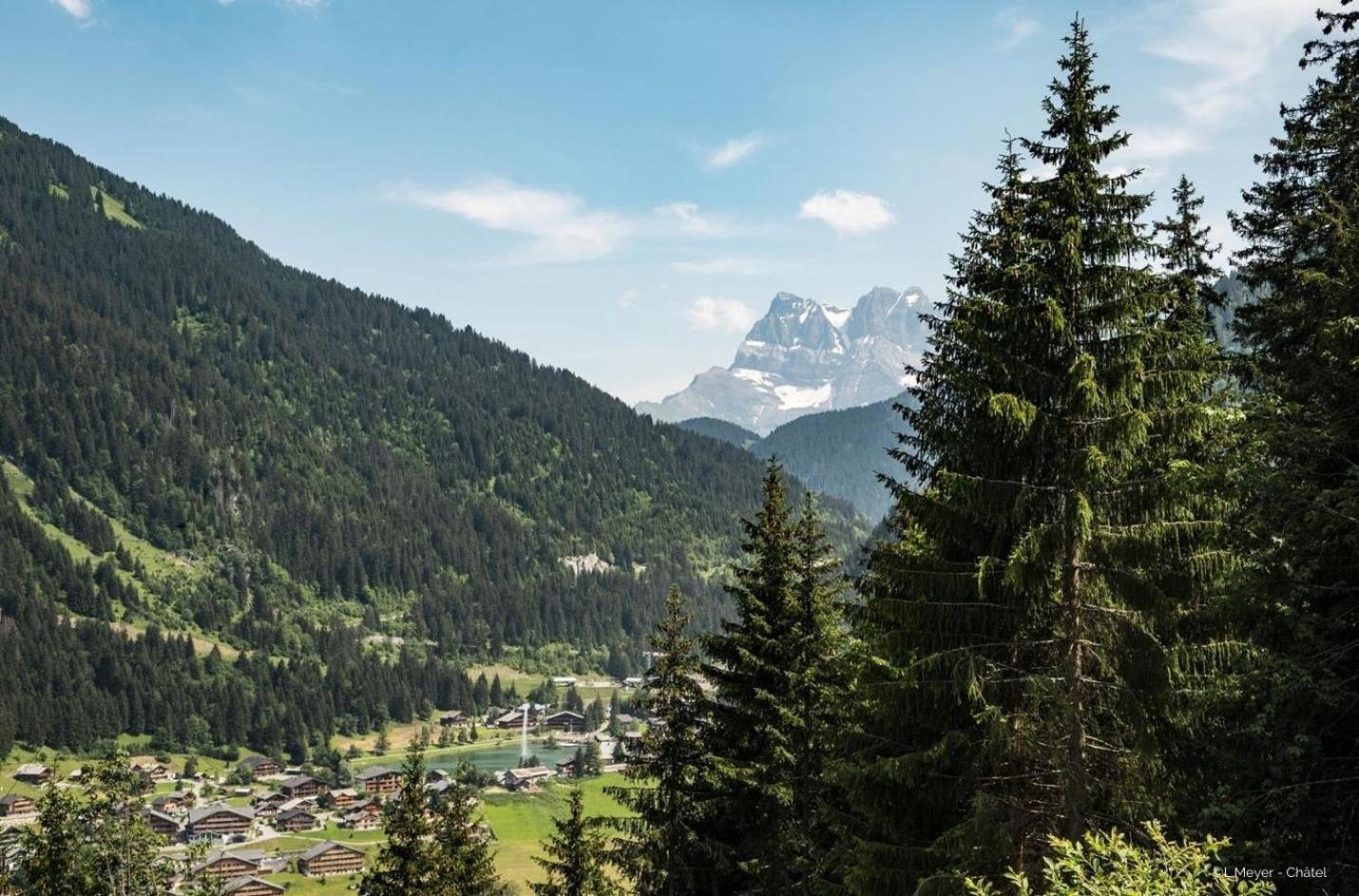 Apartament Toison Blanche Tba3 Cosy & Mountain 4 Pers Châtel Zewnętrze zdjęcie