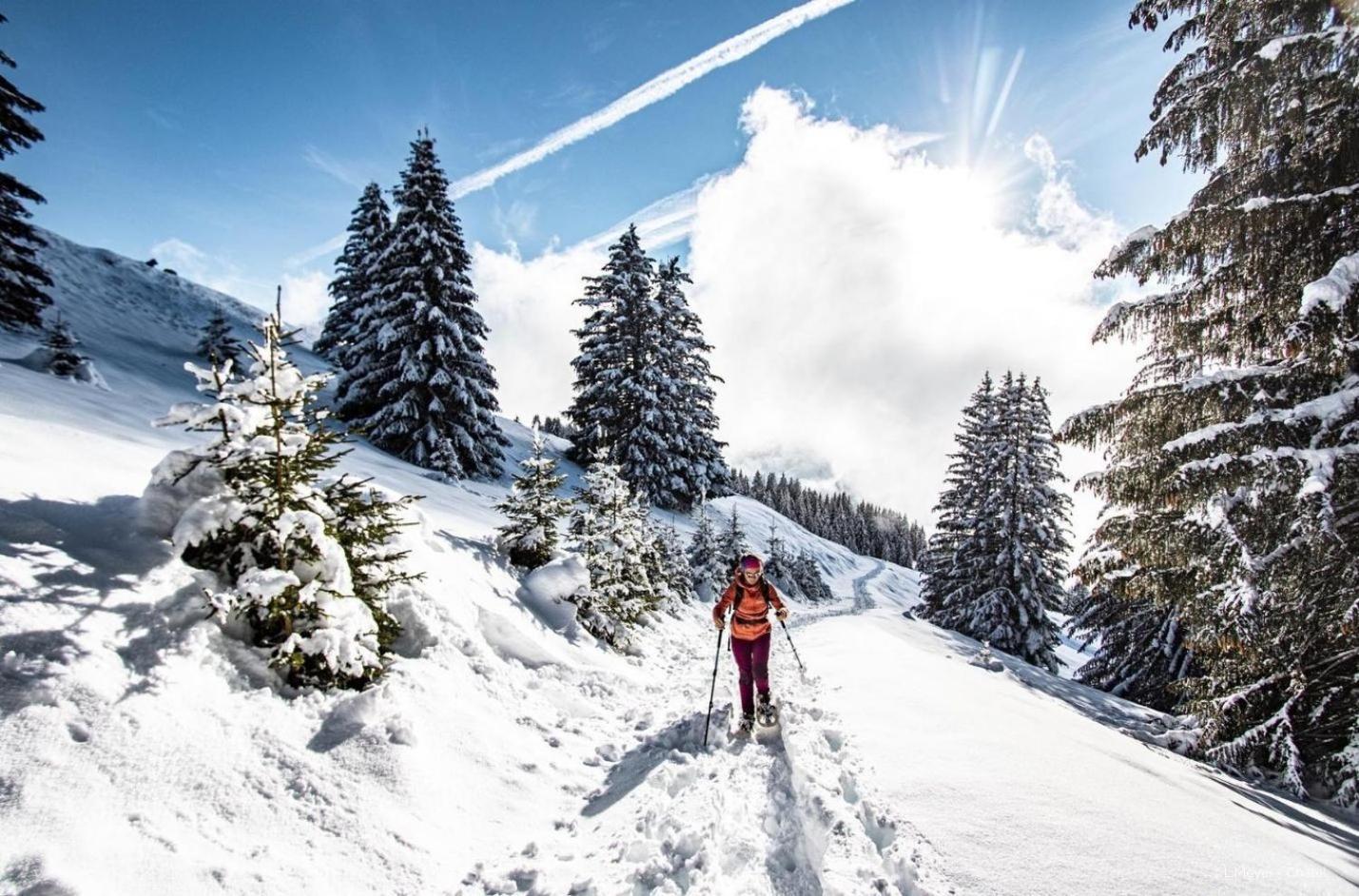Apartament Toison Blanche Tba3 Cosy & Mountain 4 Pers Châtel Zewnętrze zdjęcie