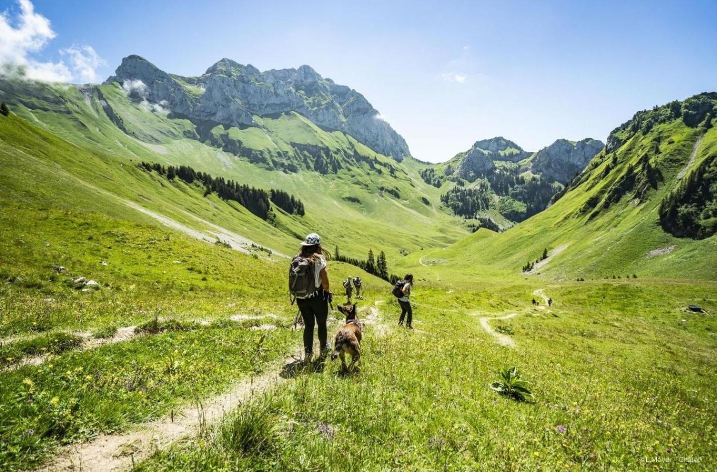 Apartament Toison Blanche Tba3 Cosy & Mountain 4 Pers Châtel Zewnętrze zdjęcie
